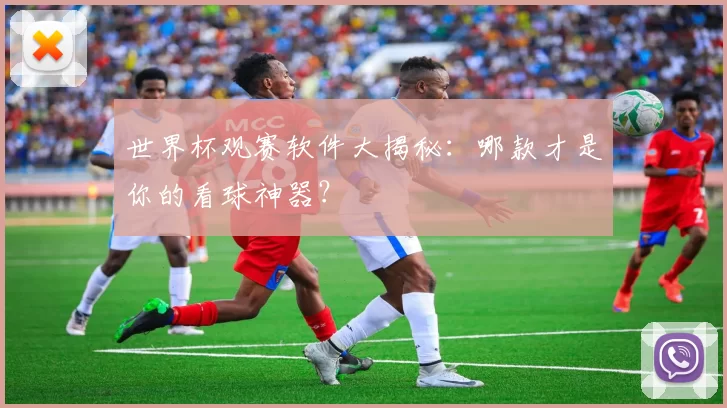 世界杯观赛软件大揭秘：哪款才是你的看球神器？
