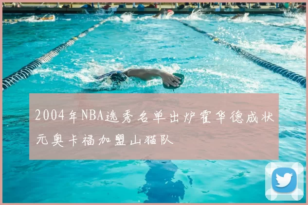 2004年NBA选秀名单出炉霍华德成状元奥卡福加盟山猫队