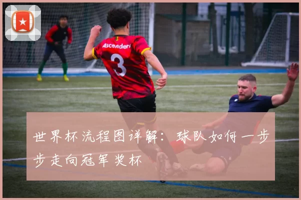 世界杯流程图详解:球队如何一步步走向冠军奖杯