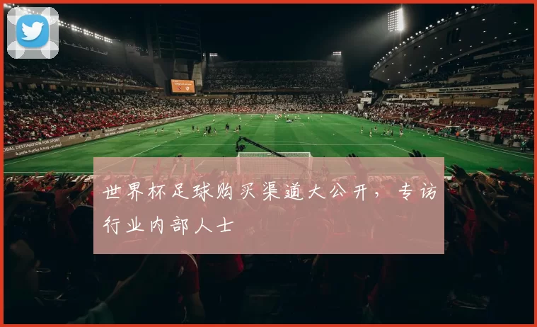 世界杯足球购买渠道大公开,专访行业内部人士